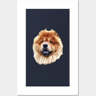 Chow Chow Fluffy Puppy Dog Head Posters and Art